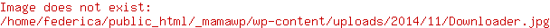 Downloader